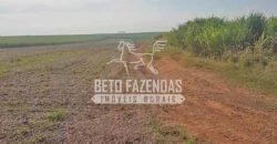 Fazenda de Cana à Venda 6.292 Hectares Região de Piracicaba/Capivari/Campinas/ SP