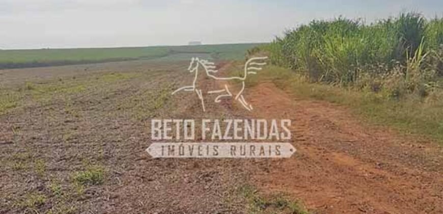 Fazenda de Cana à Venda 6.292 Hectares Região de Piracicaba/Capivari/Campinas/ SP