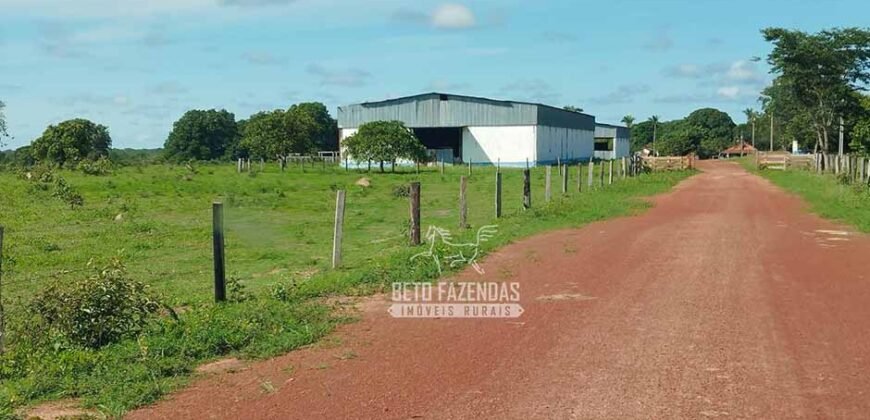 Fazenda à Venda 83.848 Has Potencial p/ Lavoura e Pecuária | São Félix do Araguaia/ MT Fazenda à Venda 83.848 Has Potencial p/ Lavoura e Pecuária | São Félix do Araguaia/ MT