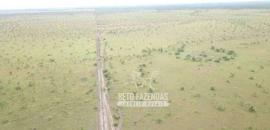 Fazenda à Venda 83.848 Has Potencial p/ Lavoura e Pecuária | São Félix do Araguaia/ MT Fazenda à Venda 83.848 Has Potencial p/ Lavoura e Pecuária | São Félix do Araguaia/ MT