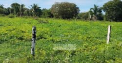 Fazenda à Venda 83.848 Has Potencial p/ Lavoura e Pecuária | São Félix do Araguaia/ MT Fazenda à Venda 83.848 Has Potencial p/ Lavoura e Pecuária | São Félix do Araguaia/ MT