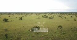 Fazenda à Venda 83.848 Has Potencial p/ Lavoura e Pecuária | São Félix do Araguaia/ MT Fazenda à Venda 83.848 Has Potencial p/ Lavoura e Pecuária | São Félix do Araguaia/ MT