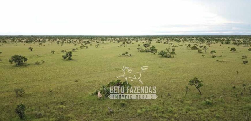 Fazenda à Venda 83.848 Has Potencial p/ Lavoura e Pecuária | São Félix do Araguaia/ MT Fazenda à Venda 83.848 Has Potencial p/ Lavoura e Pecuária | São Félix do Araguaia/ MT