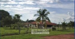 Fazenda à Venda 83.848 Has Potencial p/ Lavoura e Pecuária | São Félix do Araguaia/ MT Fazenda à Venda 83.848 Has Potencial p/ Lavoura e Pecuária | São Félix do Araguaia/ MT