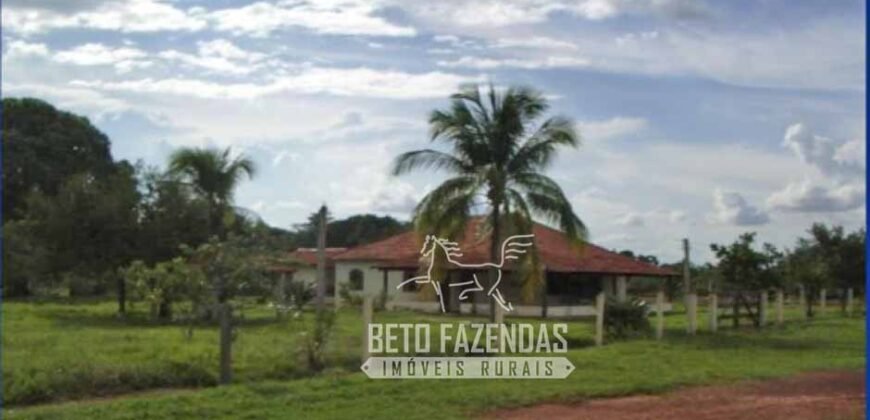 Fazenda à Venda 83.848 Has Potencial p/ Lavoura e Pecuária | São Félix do Araguaia/ MT Fazenda à Venda 83.848 Has Potencial p/ Lavoura e Pecuária | São Félix do Araguaia/ MT