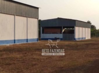 Fazenda à Venda 83.848 Has Potencial p/ Lavoura e Pecuária | São Félix do Araguaia/ MT