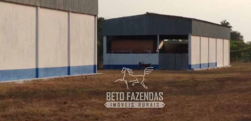 Fazenda à Venda 83.848 Has Potencial p/ Lavoura e Pecuária | São Félix do Araguaia/ MT Fazenda à Venda 83.848 Has Potencial p/ Lavoura e Pecuária | São Félix do Araguaia/ MT