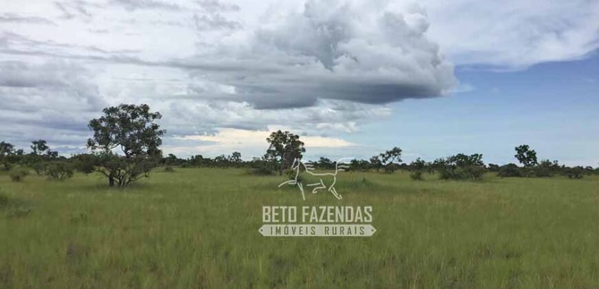 Fazenda à Venda 83.848 Has Potencial p/ Lavoura e Pecuária | São Félix do Araguaia/ MT Fazenda à Venda 83.848 Has Potencial p/ Lavoura e Pecuária | São Félix do Araguaia/ MT