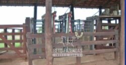 Fazenda à Venda 83.848 Has Potencial p/ Lavoura e Pecuária | São Félix do Araguaia/ MT Fazenda à Venda 83.848 Has Potencial p/ Lavoura e Pecuária | São Félix do Araguaia/ MT