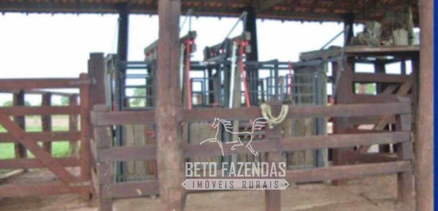Fazenda à Venda 83.848 Has Potencial p/ Lavoura e Pecuária | São Félix do Araguaia/ MT Fazenda à Venda 83.848 Has Potencial p/ Lavoura e Pecuária | São Félix do Araguaia/ MT