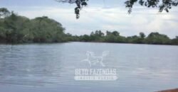 Fazenda à Venda 83.848 Has Potencial p/ Lavoura e Pecuária | São Félix do Araguaia/ MT Fazenda à Venda 83.848 Has Potencial p/ Lavoura e Pecuária | São Félix do Araguaia/ MT