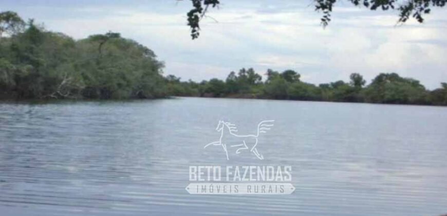 Fazenda à Venda 83.848 Has Potencial p/ Lavoura e Pecuária | São Félix do Araguaia/ MT Fazenda à Venda 83.848 Has Potencial p/ Lavoura e Pecuária | São Félix do Araguaia/ MT