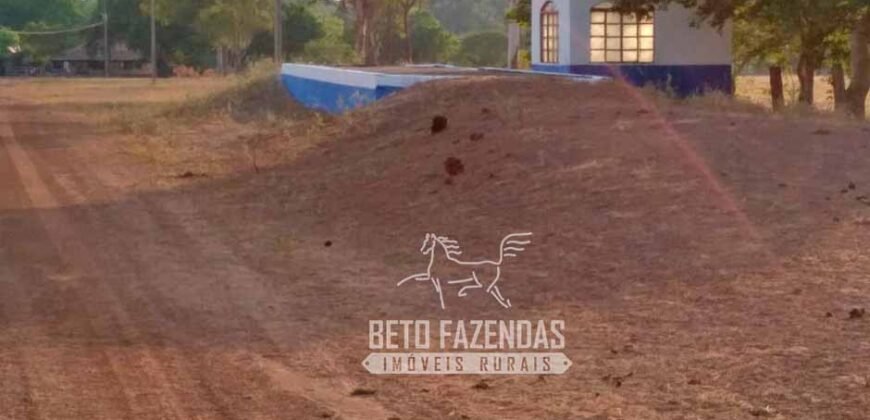 Fazenda à Venda 83.848 Has Potencial p/ Lavoura e Pecuária | São Félix do Araguaia/ MT Fazenda à Venda 83.848 Has Potencial p/ Lavoura e Pecuária | São Félix do Araguaia/ MT