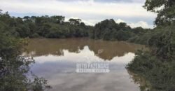 Fazenda à Venda 83.848 Has Potencial p/ Lavoura e Pecuária | São Félix do Araguaia/ MT Fazenda à Venda 83.848 Has Potencial p/ Lavoura e Pecuária | São Félix do Araguaia/ MT