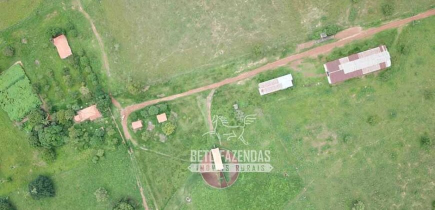 Fazenda à Venda 83.848 Has Potencial p/ Lavoura e Pecuária | São Félix do Araguaia/ MT Fazenda à Venda 83.848 Has Potencial p/ Lavoura e Pecuária | São Félix do Araguaia/ MT