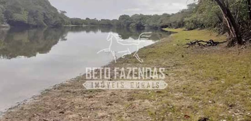 Fazenda à Venda 83.848 Has Potencial p/ Lavoura e Pecuária | São Félix do Araguaia/ MT Fazenda à Venda 83.848 Has Potencial p/ Lavoura e Pecuária | São Félix do Araguaia/ MT
