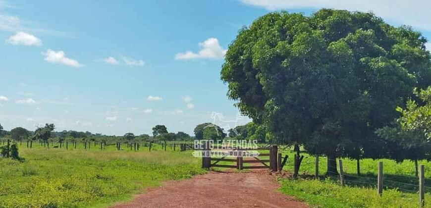 Fazenda à Venda 83.848 Has Potencial p/ Lavoura e Pecuária | São Félix do Araguaia/ MT Fazenda à Venda 83.848 Has Potencial p/ Lavoura e Pecuária | São Félix do Araguaia/ MT