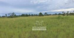 Fazenda à Venda 83.848 Has Potencial p/ Lavoura e Pecuária | São Félix do Araguaia/ MT Fazenda à Venda 83.848 Has Potencial p/ Lavoura e Pecuária | São Félix do Araguaia/ MT