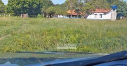 Fazenda à Venda 83.848 Has Potencial p/ Lavoura e Pecuária | São Félix do Araguaia/ MT Fazenda à Venda 83.848 Has Potencial p/ Lavoura e Pecuária | São Félix do Araguaia/ MT