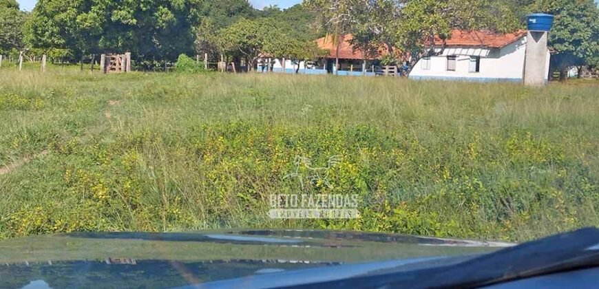 Fazenda à Venda 83.848 Has Potencial p/ Lavoura e Pecuária | São Félix do Araguaia/ MT Fazenda à Venda 83.848 Has Potencial p/ Lavoura e Pecuária | São Félix do Araguaia/ MT