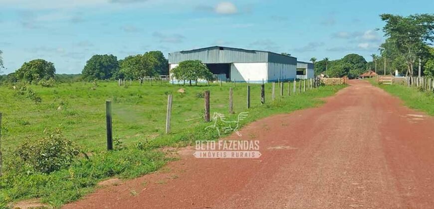 Fazenda à Venda 83.848 Has Potencial p/ Lavoura e Pecuária | São Félix do Araguaia/ MT Fazenda à Venda 83.848 Has Potencial p/ Lavoura e Pecuária | São Félix do Araguaia/ MT