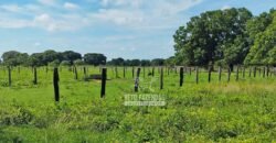Fazenda à Venda 83.848 Has Potencial p/ Lavoura e Pecuária | São Félix do Araguaia/ MT Fazenda à Venda 83.848 Has Potencial p/ Lavoura e Pecuária | São Félix do Araguaia/ MT