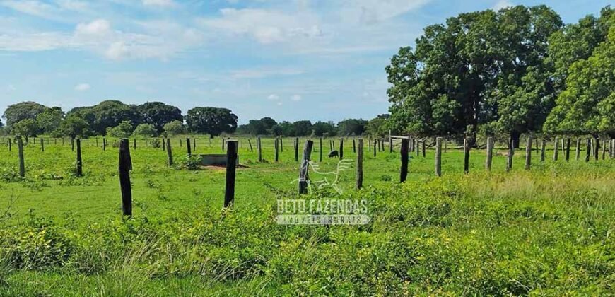 Fazenda à Venda 83.848 Has Potencial p/ Lavoura e Pecuária | São Félix do Araguaia/ MT Fazenda à Venda 83.848 Has Potencial p/ Lavoura e Pecuária | São Félix do Araguaia/ MT