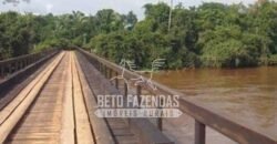 Fazenda Gigante à Venda 149.132 Has Potencial Agrícola | Rondolândia/ MT