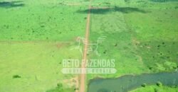 Fazenda Gigante à Venda 149.132 Has Potencial Agrícola | Rondolândia/ MT