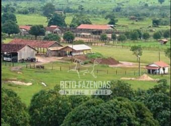Fazenda Gigante à Venda 149.132 Has Potencial Agrícola | Rondolândia/ MT