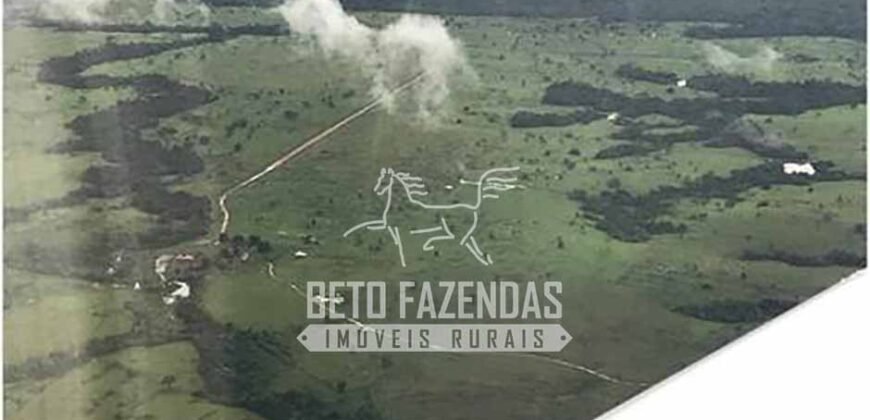 Fazenda Gigante à Venda 149.132 Has Potencial Agrícola | Rondolândia/ MT