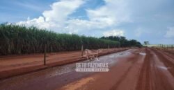 Fazenda de Cana à Venda 4.800 e 5.000 Alqueires | Campinas e Região/ SP Fazenda de Cana à Venda 4.800 e 5.000 Alqueires | Campinas e Região/ SP