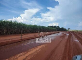 Fazenda de Cana à Venda 4.800 e 5.000 Alqueires | Campinas e Região/ SP