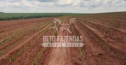 Fazenda de Cana à Venda 4.800 e 5.000 Alqueires | Campinas e Região/ SP Fazenda de Cana à Venda 4.800 e 5.000 Alqueires | Campinas e Região/ SP
