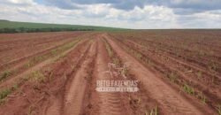 Fazenda de Cana à Venda 4.800 e 5.000 Alqueires | Campinas e Região/ SP Fazenda de Cana à Venda 4.800 e 5.000 Alqueires | Campinas e Região/ SP