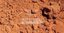 Fazenda de Cana à Venda 4.800 e 5.000 Alqueires | Campinas e Região/ SP Fazenda de Cana à Venda 4.800 e 5.000 Alqueires | Campinas e Região/ SP