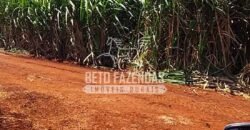 Fazenda de Cana à Venda 4.800 e 5.000 Alqueires | Campinas e Região/ SP Fazenda de Cana à Venda 4.800 e 5.000 Alqueires | Campinas e Região/ SP