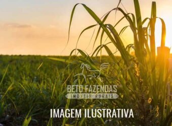 Fazenda à Venda 975 Has Grande Potencial p/ Lavoura de Cana | Ribeirão Preto/ SP Fazenda à Venda 975 Has Grande Potencial p/ Lavoura de Cana | Ribeirão Preto/ SP