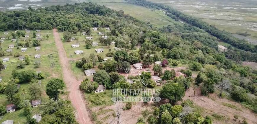 Fazenda à Venda 20.000 has Pecuária Bufalo e Lavoura | Almeirim/ PA Fazenda à Venda 20.000 has Pecuária Bufalo e Lavoura | Almeirim/ PA