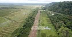 Fazenda à Venda 20.000 has Pecuária Bufalo e Lavoura | Almeirim/ PA Fazenda à Venda 20.000 has Pecuária Bufalo e Lavoura | Almeirim/ PA