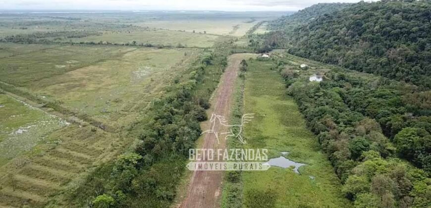 Fazenda à Venda 20.000 has Pecuária Bufalo e Lavoura | Almeirim/ PA Fazenda à Venda 20.000 has Pecuária Bufalo e Lavoura | Almeirim/ PA