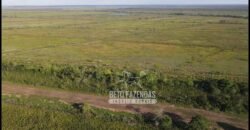 Fazenda à Venda 20.000 has Pecuária Bufalo e Lavoura | Almeirim/ PA Fazenda à Venda 20.000 has Pecuária Bufalo e Lavoura | Almeirim/ PA