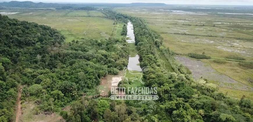 Fazenda à Venda 20.000 has Pecuária Bufalo e Lavoura | Almeirim/ PA Fazenda à Venda 20.000 has Pecuária Bufalo e Lavoura | Almeirim/ PA
