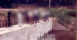 Fazenda à Venda 20.000 has Pecuária Bufalo e Lavoura | Almeirim/ PA Fazenda à Venda 20.000 has Pecuária Bufalo e Lavoura | Almeirim/ PA