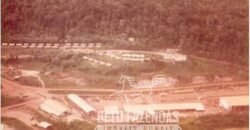 Fazenda à Venda 20.000 has Pecuária Bufalo e Lavoura | Almeirim/ PA Fazenda à Venda 20.000 has Pecuária Bufalo e Lavoura | Almeirim/ PA