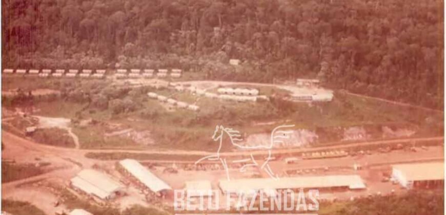 Fazenda à Venda 20.000 has Pecuária Bufalo e Lavoura | Almeirim/ PA Fazenda à Venda 20.000 has Pecuária Bufalo e Lavoura | Almeirim/ PA