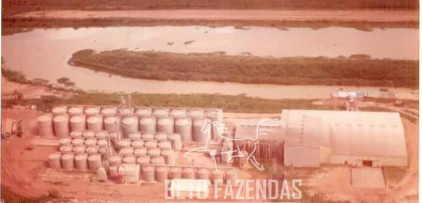 Fazenda à Venda 20.000 has Pecuária Bufalo e Lavoura | Almeirim/ PA Fazenda à Venda 20.000 has Pecuária Bufalo e Lavoura | Almeirim/ PA