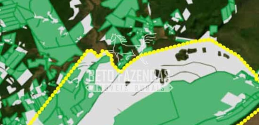 Fazenda à Venda 20.000 has Pecuária Bufalo e Lavoura | Almeirim/ PA Fazenda à Venda 20.000 has Pecuária Bufalo e Lavoura | Almeirim/ PA