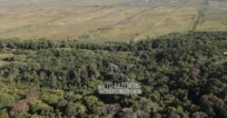 Fazenda à Venda 20.000 has Pecuária Bufalo e Lavoura | Almeirim/ PA Fazenda à Venda 20.000 has Pecuária Bufalo e Lavoura | Almeirim/ PA