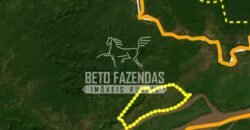 Fazenda à Venda 20.000 has Pecuária Bufalo e Lavoura | Almeirim/ PA Fazenda à Venda 20.000 has Pecuária Bufalo e Lavoura | Almeirim/ PA